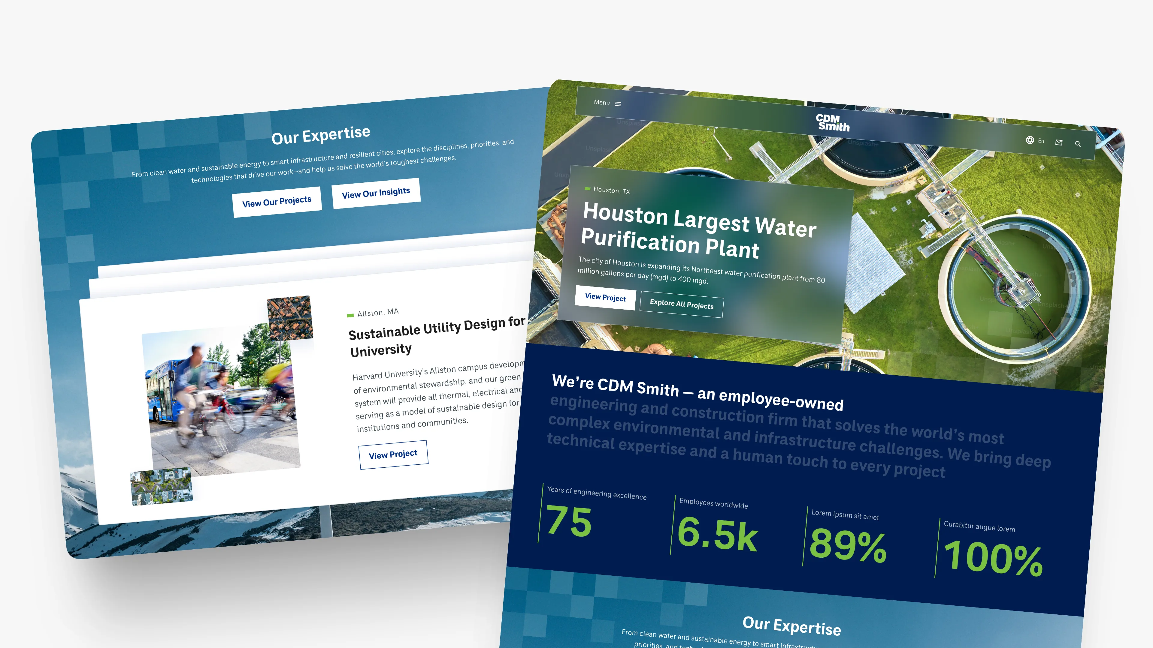 Redesigned homepage with expertise-led navigation