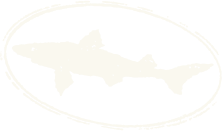 Dogfish Head