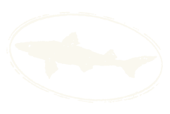 Dogfish Head