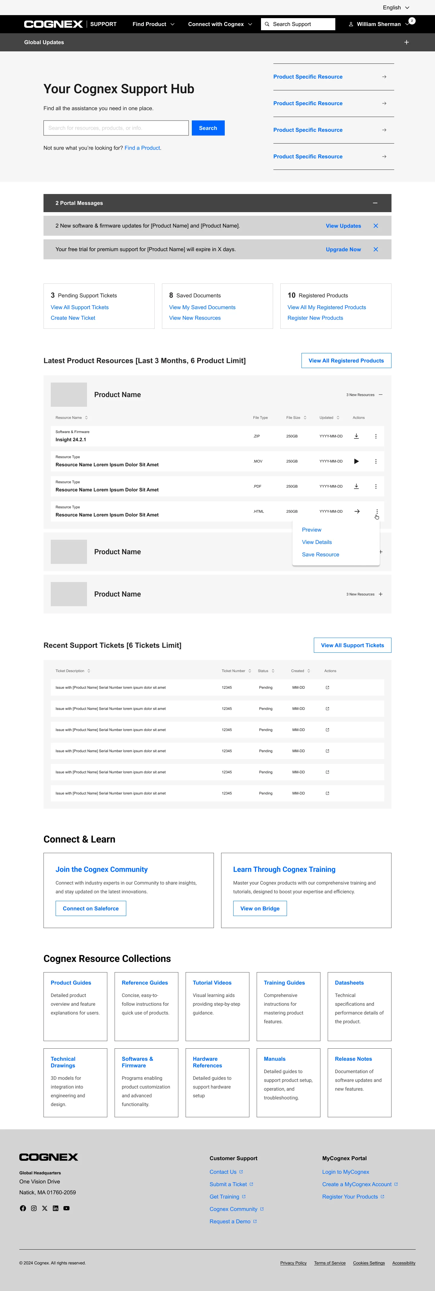 Earlier blue-accented exploration of the Cognex support dashboard