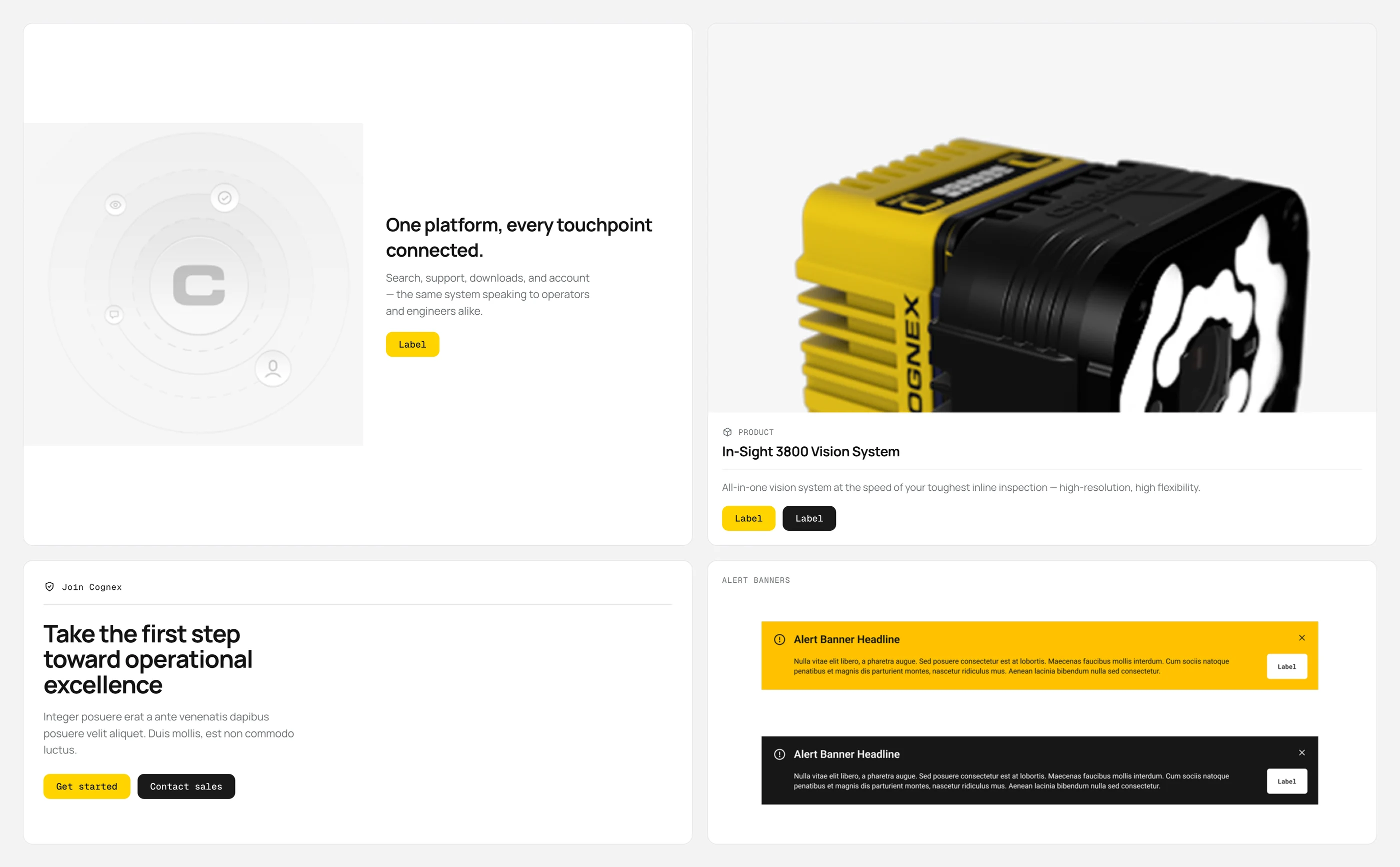 Cognex graphics and components in context