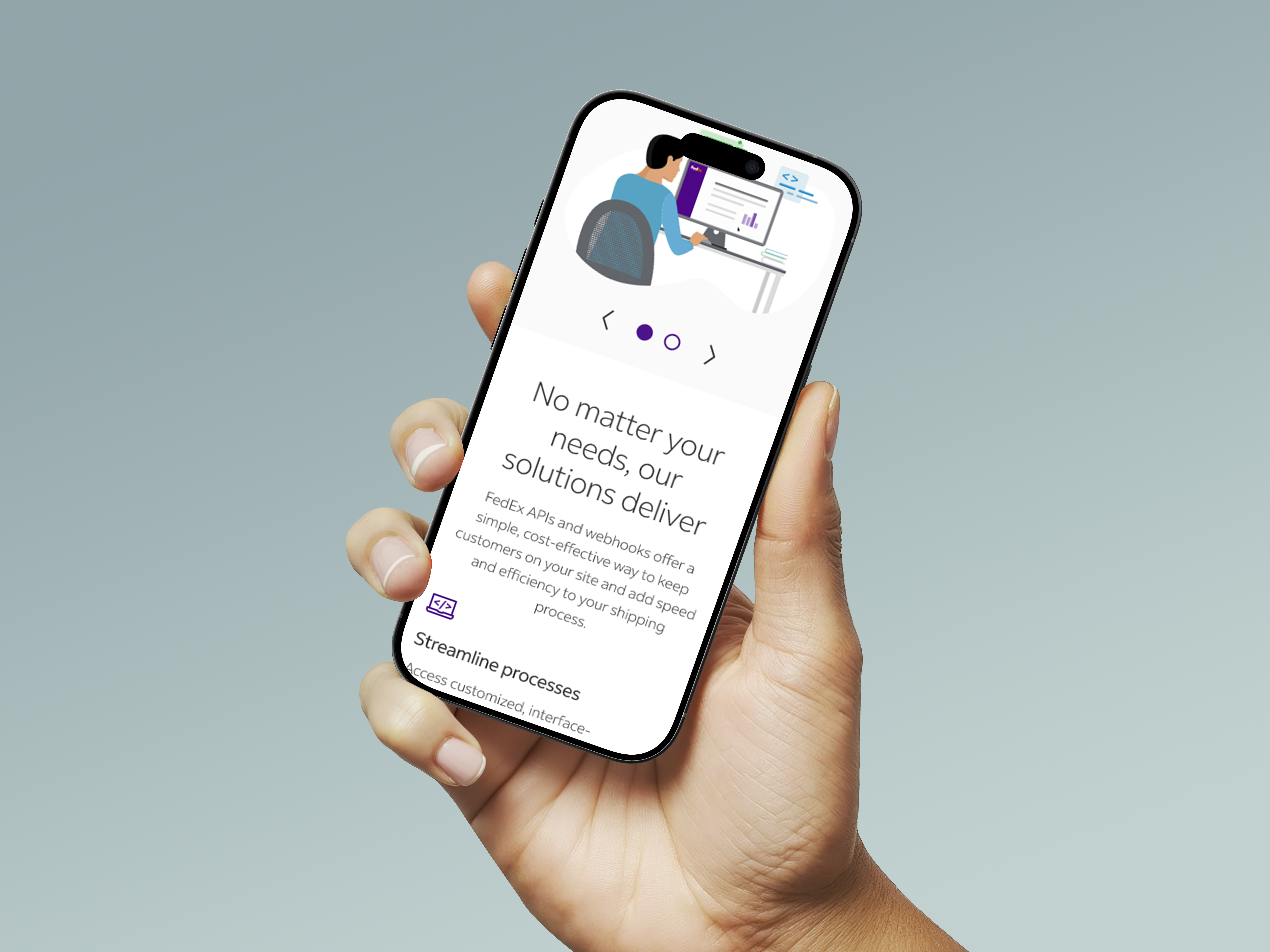 FedEx Developer Portal on iPhone 16 Pro